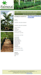 Mobile Screenshot of palmeral.org